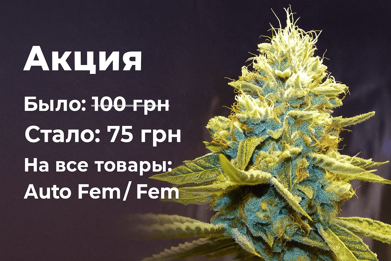 Баннер